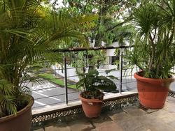 Lilac Road (D28), Terrace #143826202